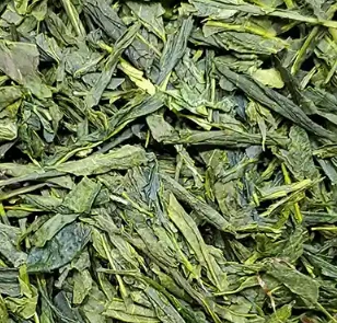 Bencha Tea